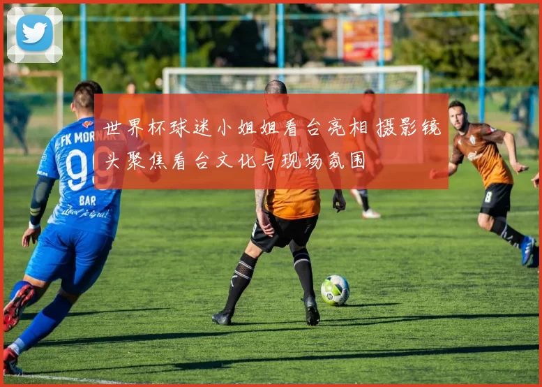 世界杯球迷小姐姐看台亮相 摄影镜头聚焦看台文化与现场氛围