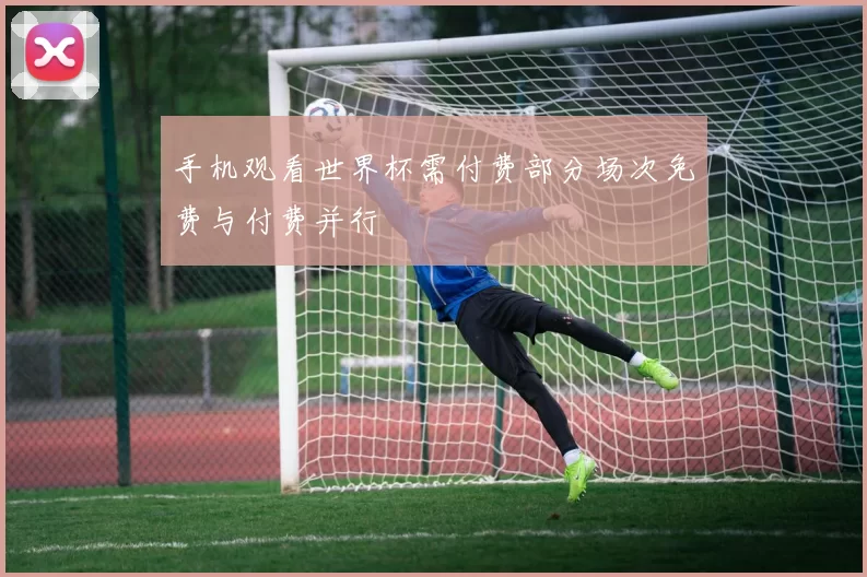 手机观看世界杯需付费部分场次免费与付费并行