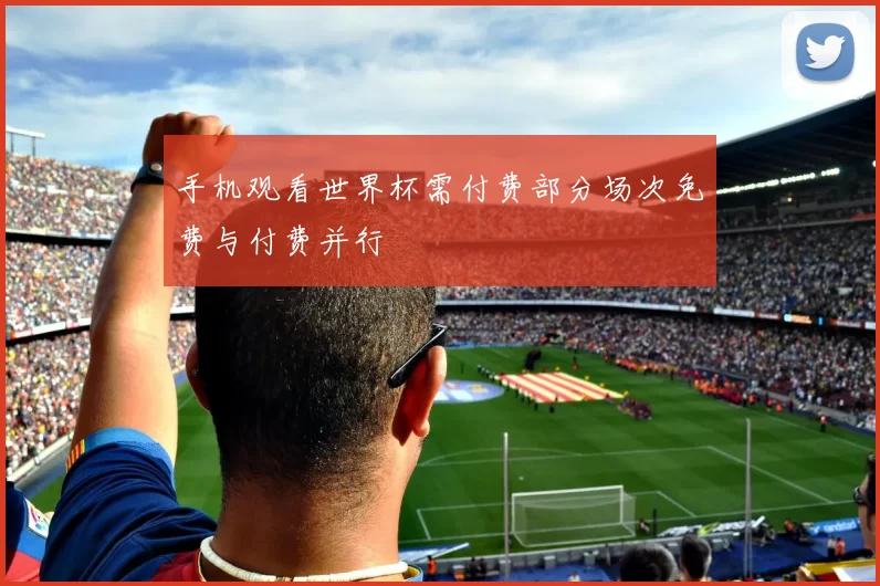 手机观看世界杯需付费部分场次免费与付费并行