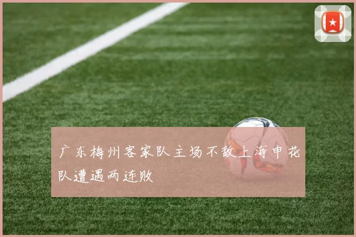 广东梅州客家队主场不敌上海申花队遭遇两连败