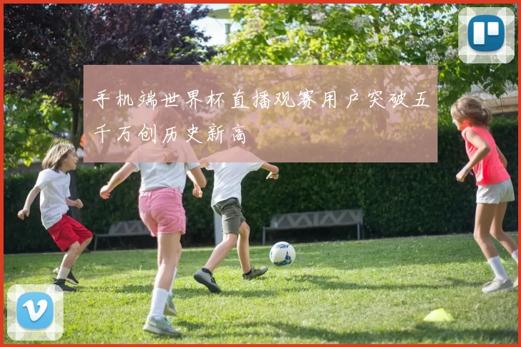 手机端世界杯直播观赛用户突破五千万创历史新高