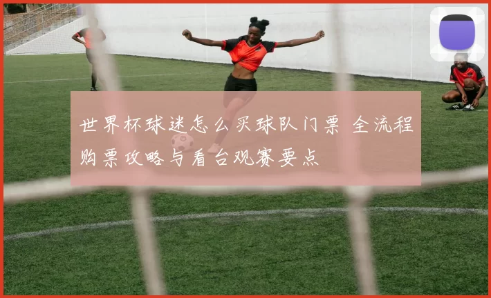 世界杯球迷怎么买球队门票 全流程购票攻略与看台观赛要点
