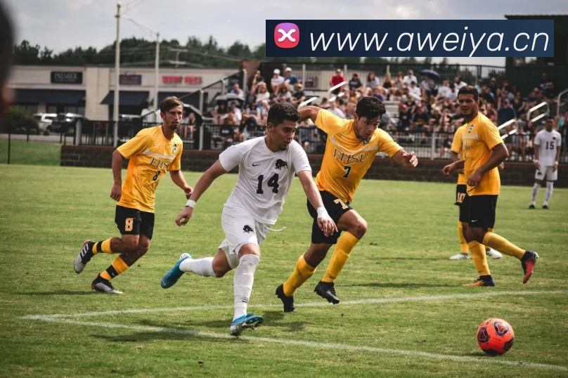 BETWAY官方端网站登录入口 - BETWAY(中国)服务体系